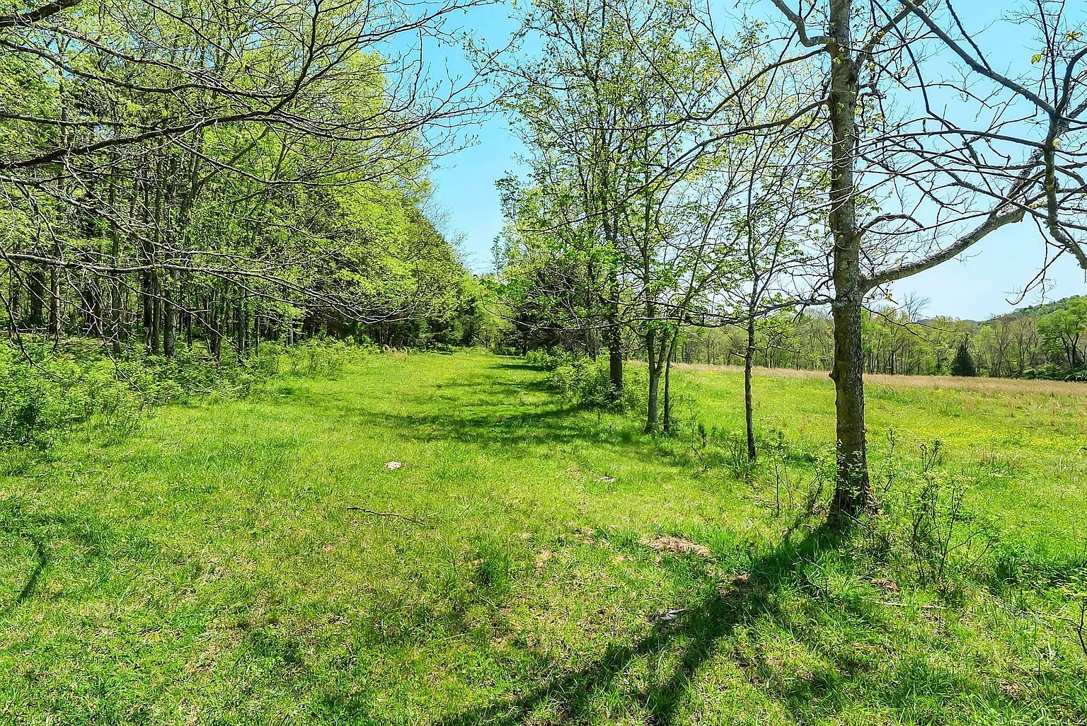 290 Gladdice Road Pleasant Shade, TN 37145 - Photo 24 of 41