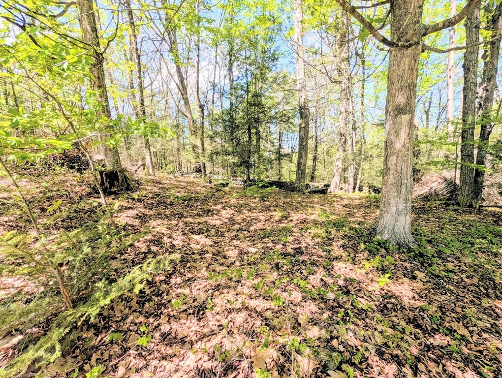 51 Russell Stage Road Blandford, MA 01008 - Photo 15 of 16