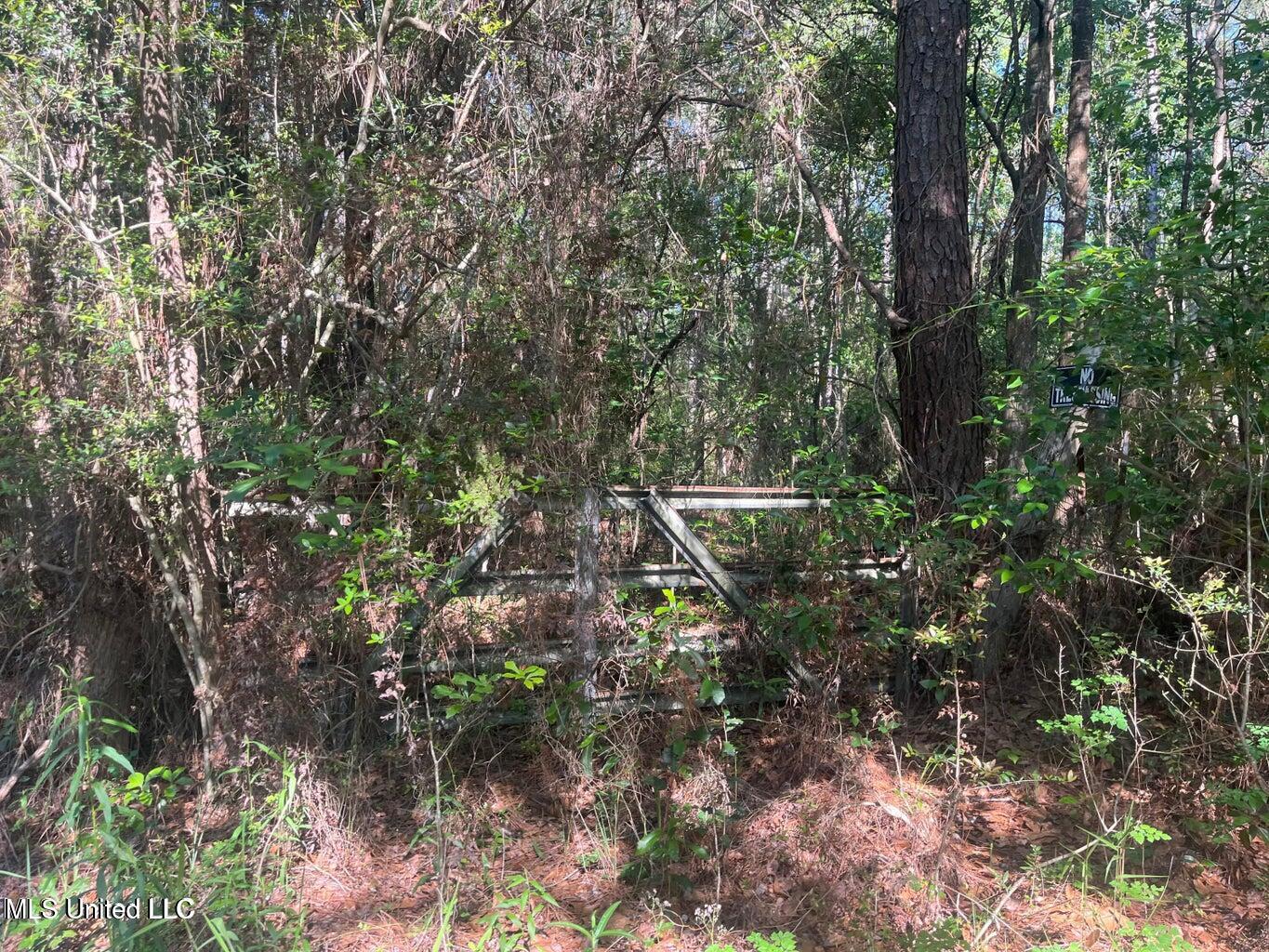 Martin Young Road Moss Point, MS 39562 - Photo 1 of 6 MY4