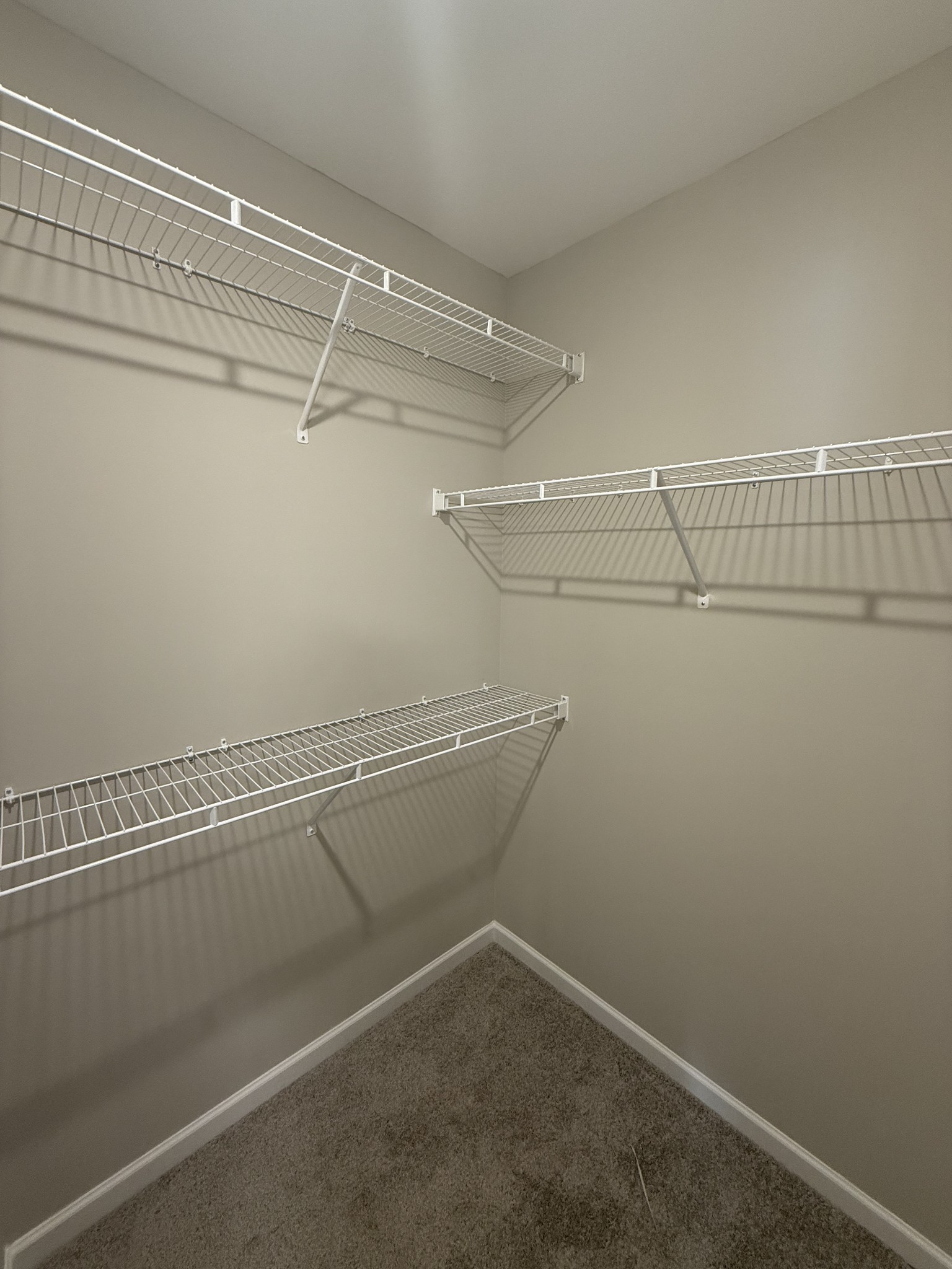 105 Coleson Lane Pleasant View, TN 37146 - Photo 10 of 15