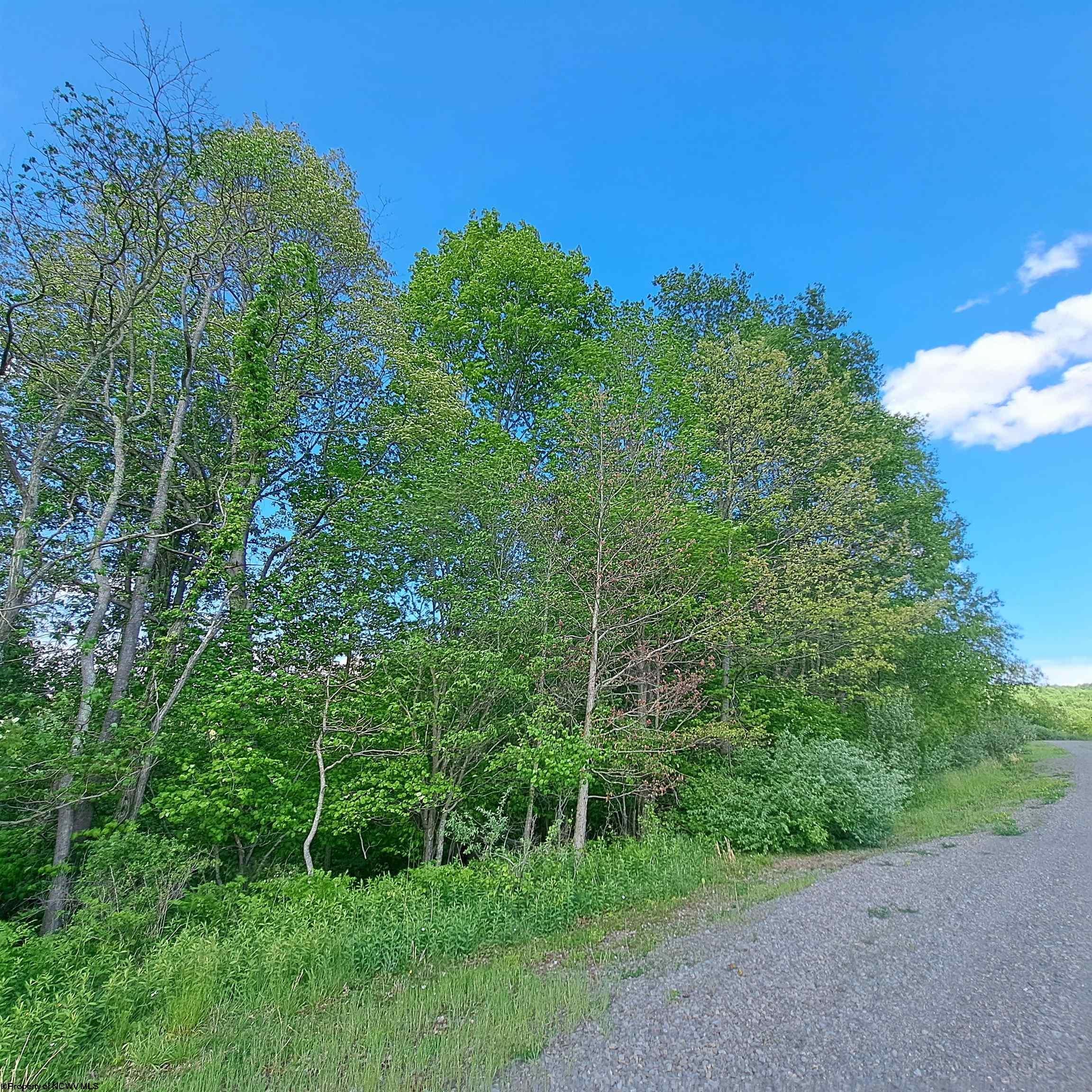 Tbd Hudson Mill Road Albright, WV 26519 - Photo 2 of 10 Gallery Image 2