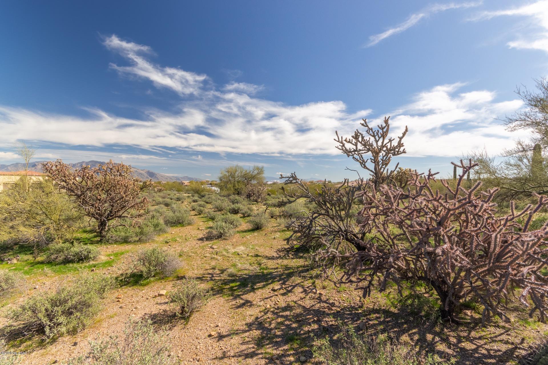 4878 West Sunset Road Tucson, AZ 85743 - Photo 25 of 26 Gallery Image 25