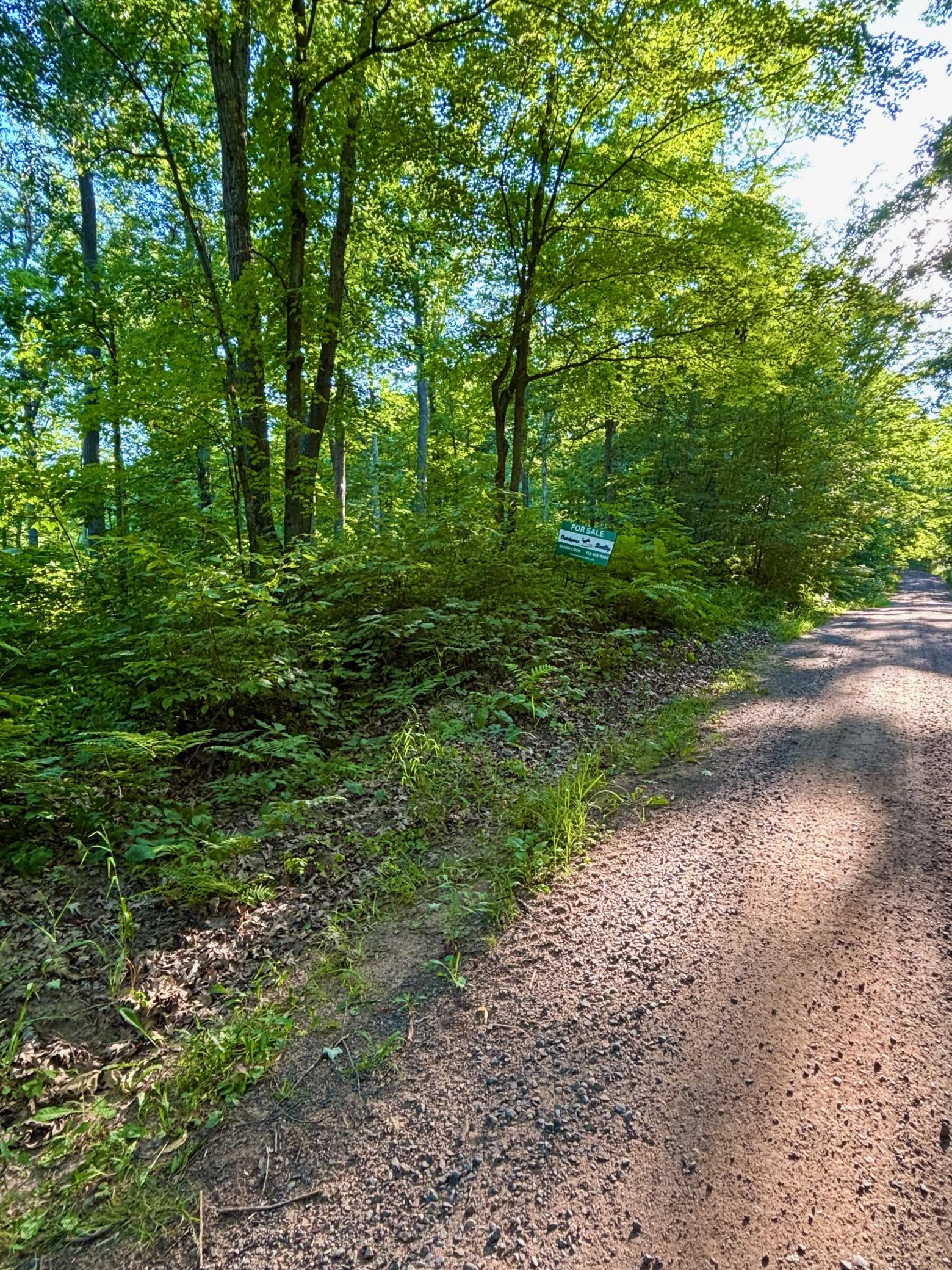 Tbd Chippewa Trail Luck, WI 54853 - Photo 15 of 17 Gallery Image 15