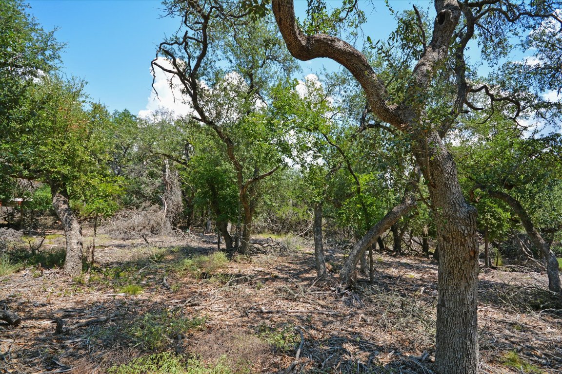 16 West El Camino Real Wimberley, TX 78676 - Photo 11 of 12 a view of outdoor space and trees