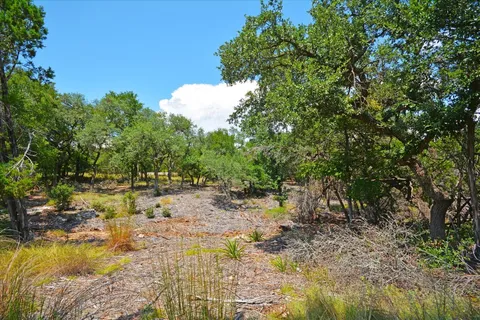 a view of yard with green space