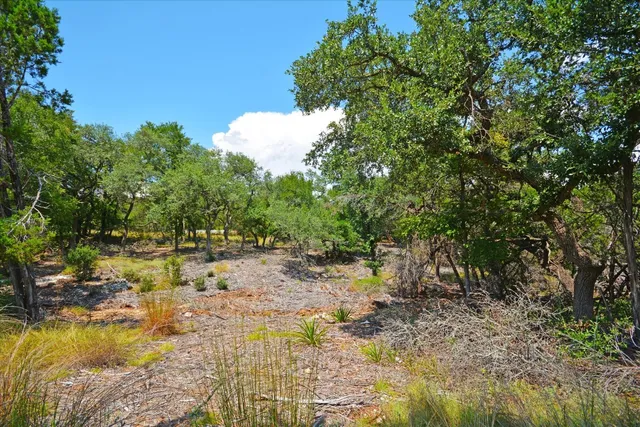 a view of yard with green space