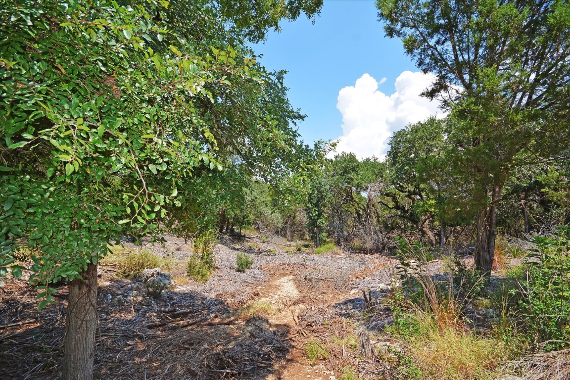 16 West El Camino Real Wimberley, TX 78676 - Photo 4 of 12 a view of a tree in a yard