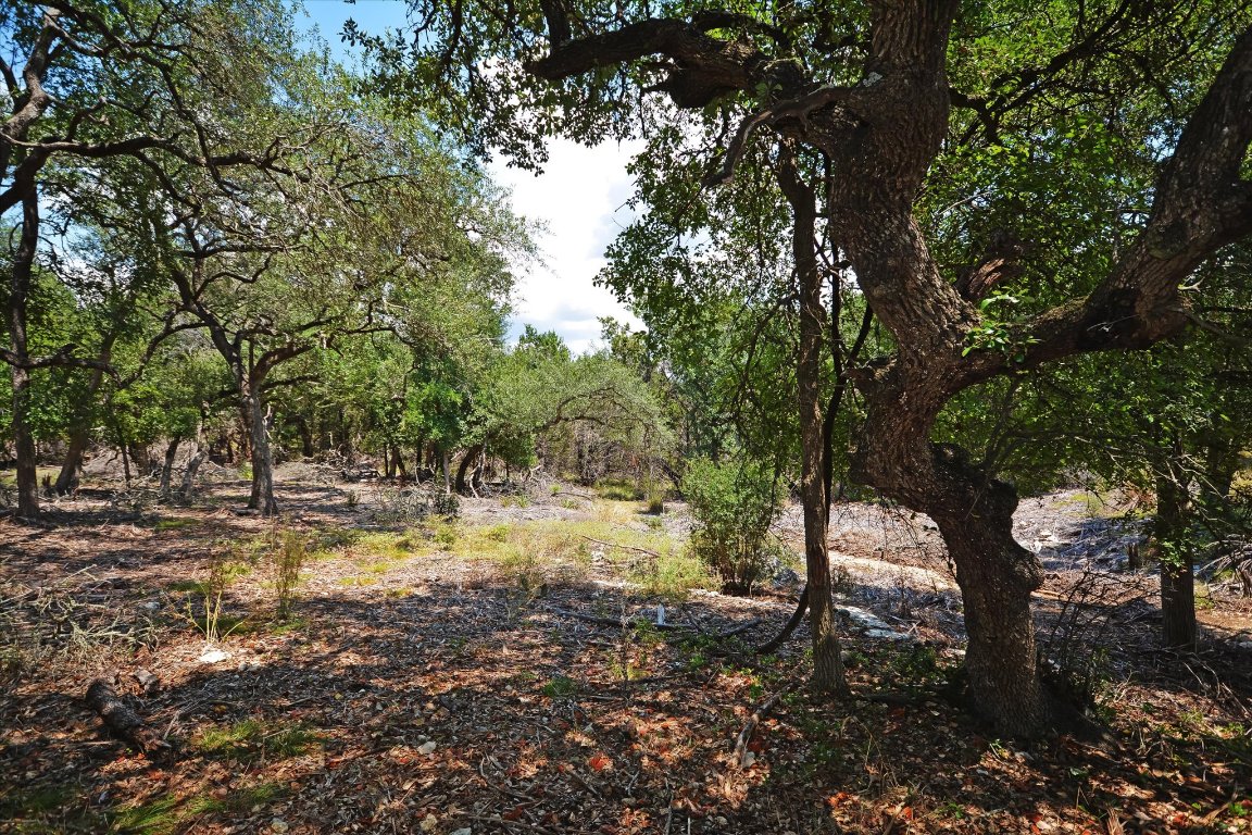 16 West El Camino Real Wimberley, TX 78676 - Photo 7 of 12 a view of yard with trees