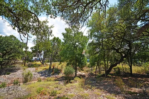 a view of a yard with large trees