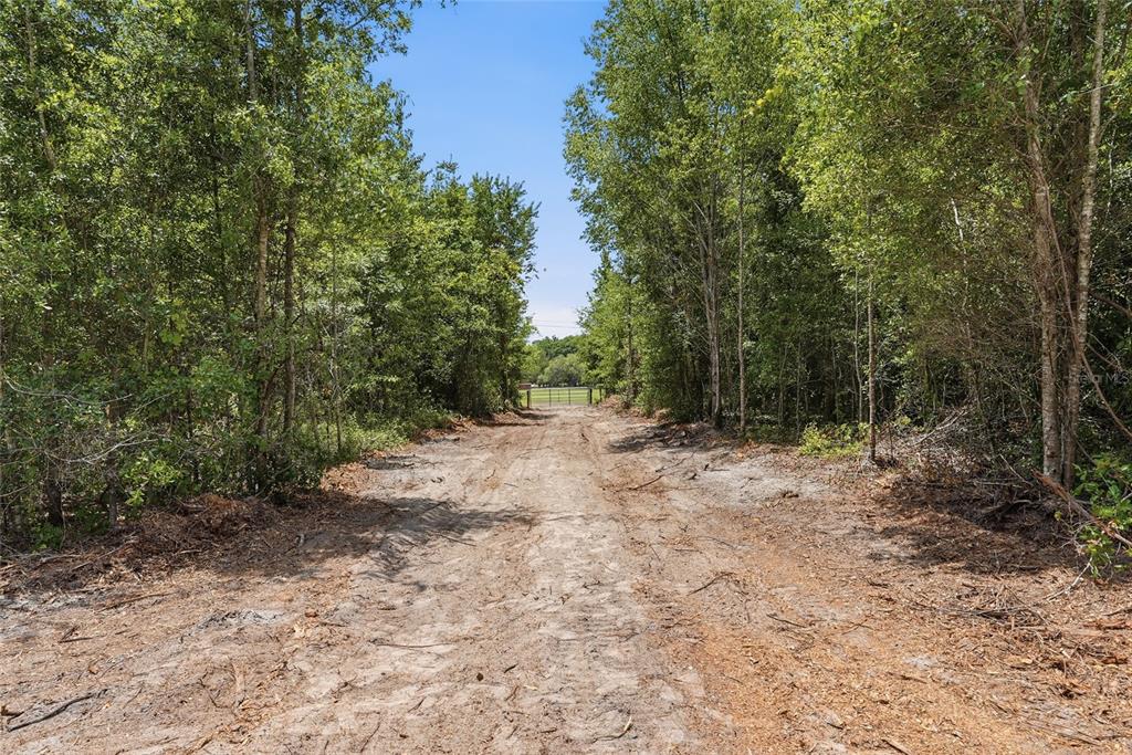 Southwest 188th Street Archer, FL 32618 - Photo 13 of 20 a view of a forest with trees in the background