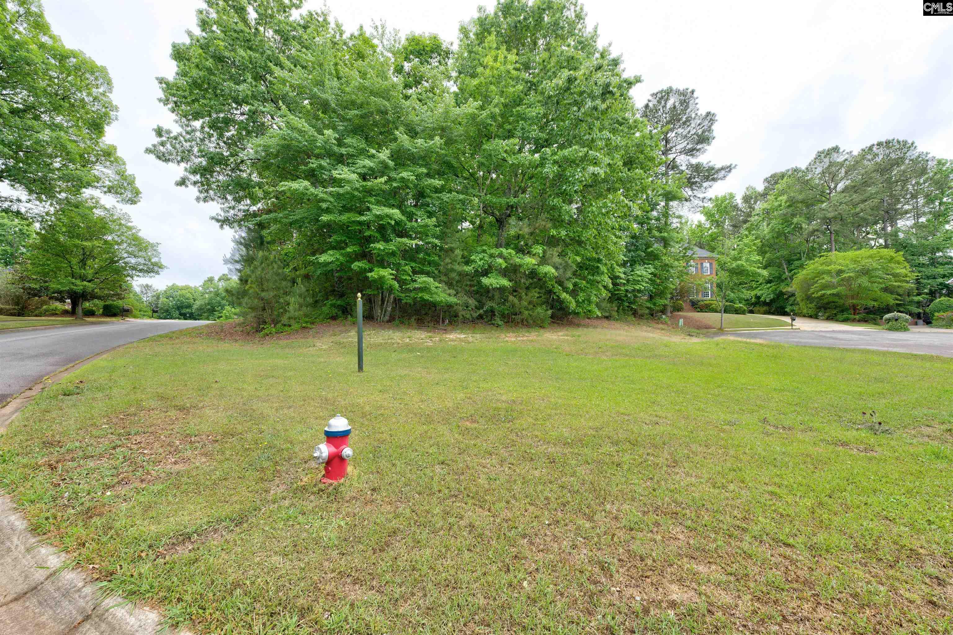 1 Aderley Court Irmo, SC 29063 - Photo 2 of 9