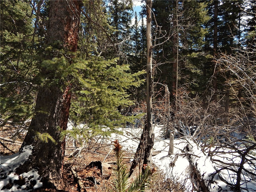 589 Mine Dump Road Alma, CO 80420 - Photo 12 of 26 Gallery Image 12