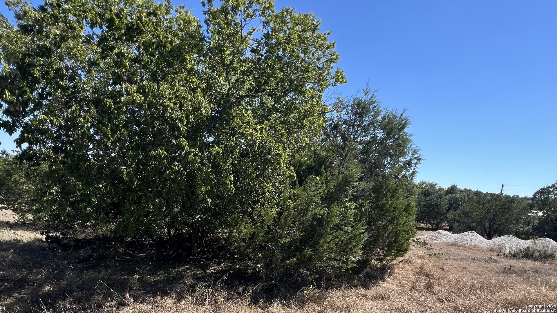 6718 Spring Branch Road Spring Branch, TX 78070 - Photo 2 of 6