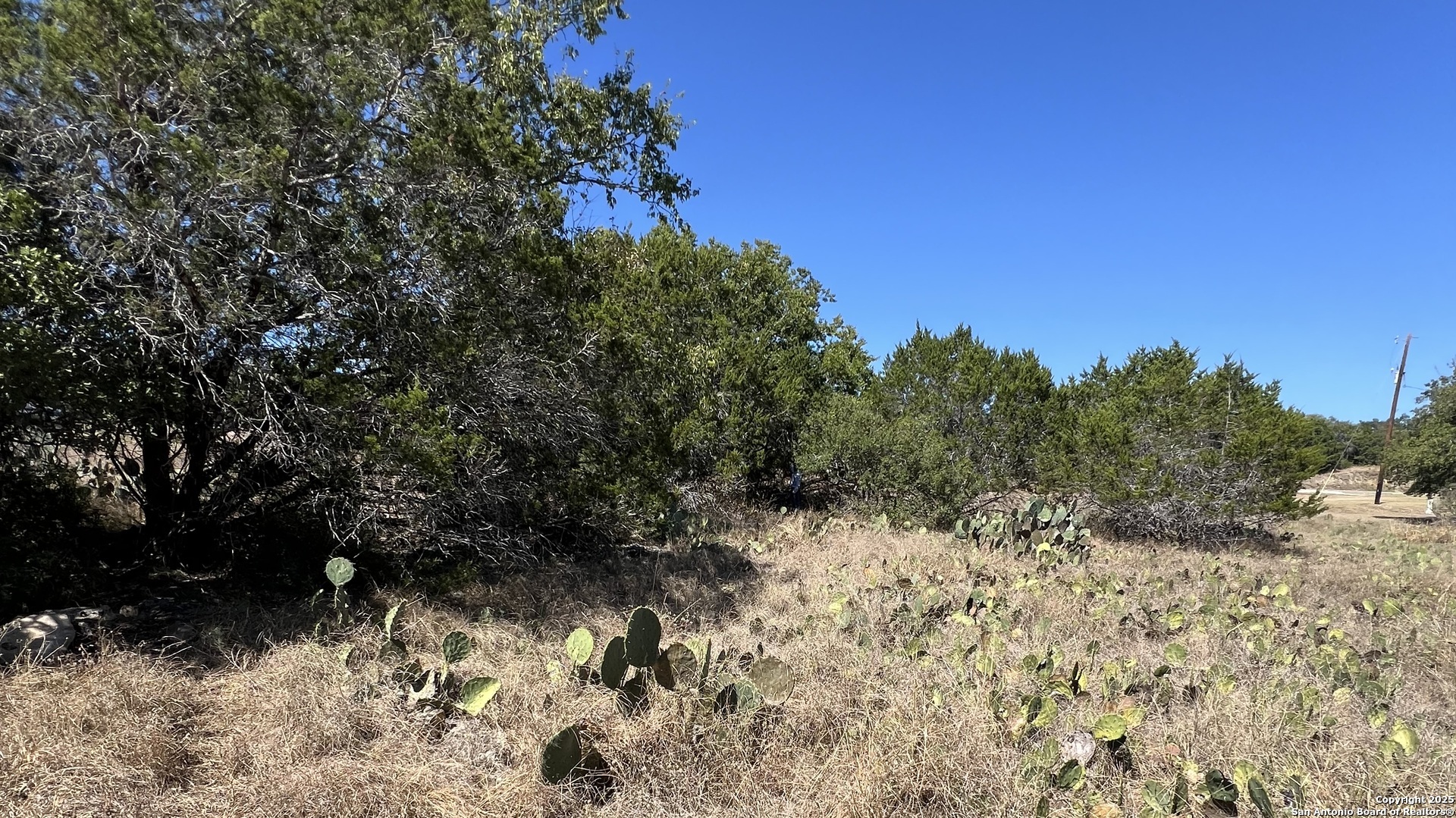 6718 Spring Branch Road Spring Branch, TX 78070 - Photo 3 of 6