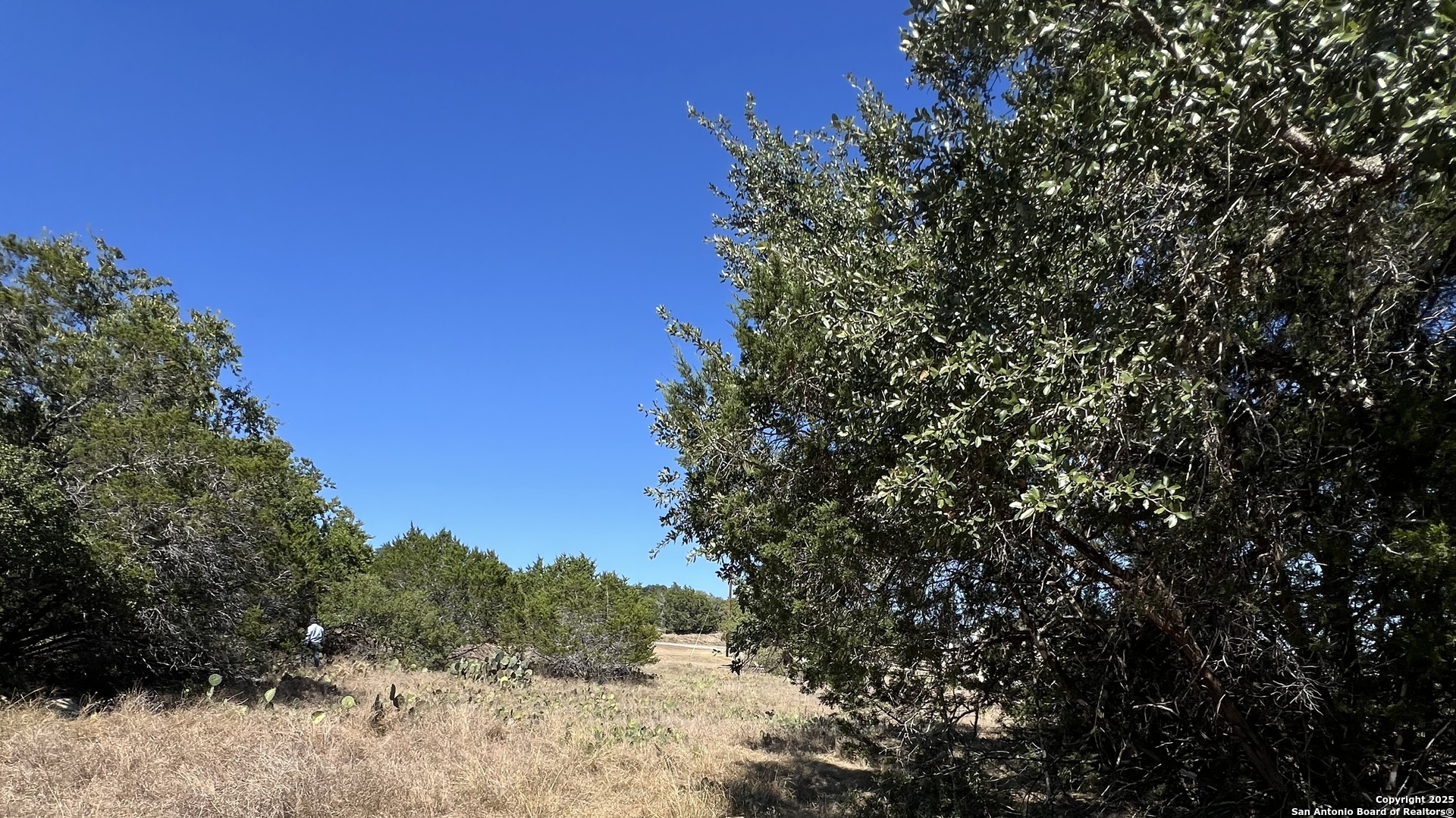 6718 Spring Branch Road Spring Branch, TX 78070 - Photo 4 of 6