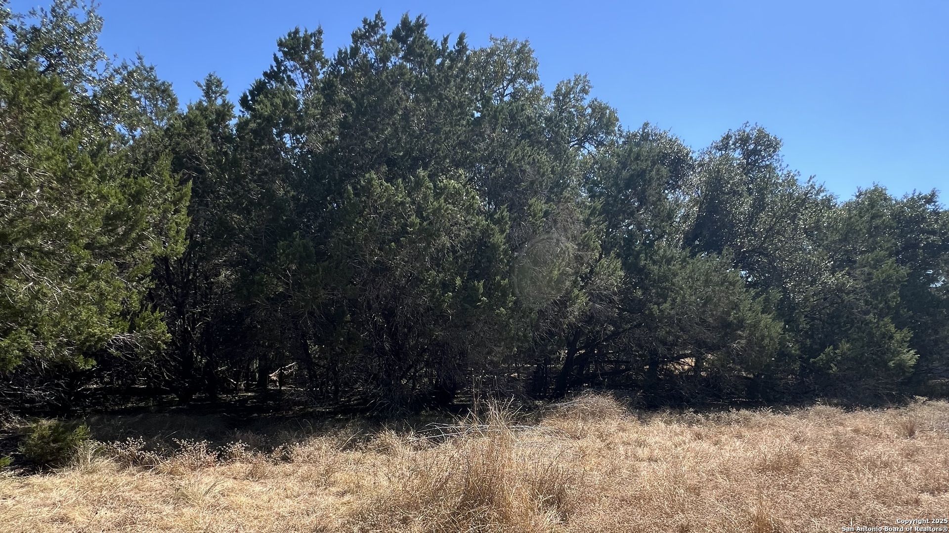 6718 Spring Branch Road Spring Branch, TX 78070 - Photo 5 of 6