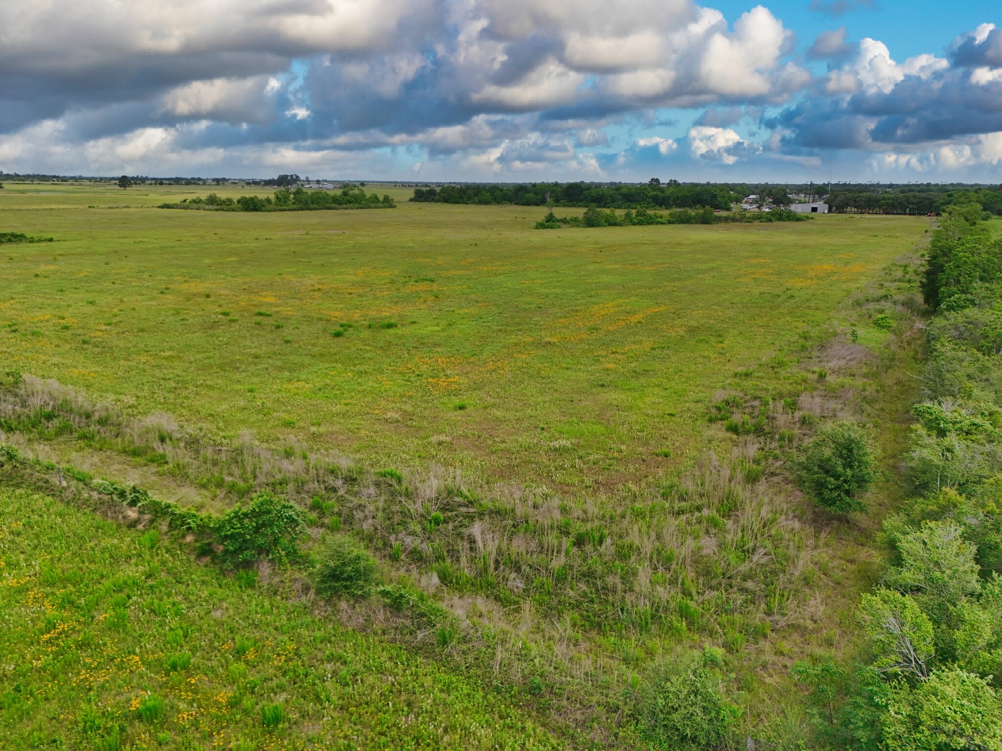 33753 Betka Road Waller, TX 77484 - Photo 10 of 10