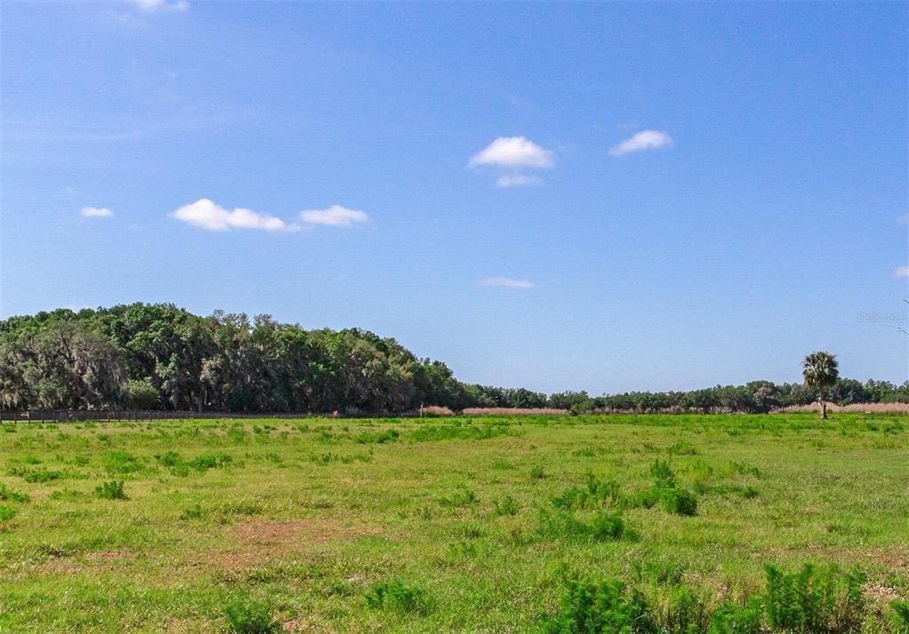 419 Jameson Road Lithia, FL 33547 - Photo 1 of 1 Gallery Image 1