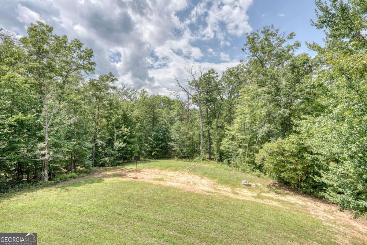 4165 Mobile Road, Unit 4 McCaysville, GA 30555 - Photo 43 of 52 a view of a yard with a tree