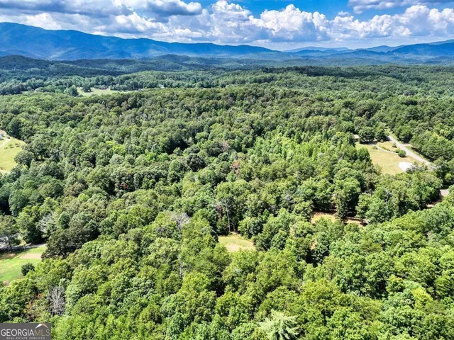 a view of a city with lush green forest