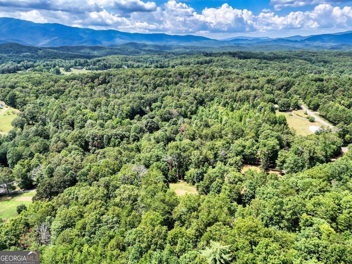 4165 Mobile Road, Unit 4 McCaysville, GA 30555 - Photo 47 of 52 a view of a lush green forest with an outdoor space and seating