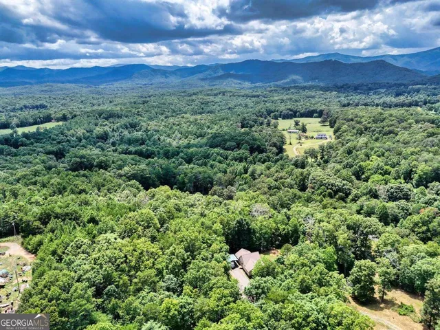 a view of a city with lush green forest