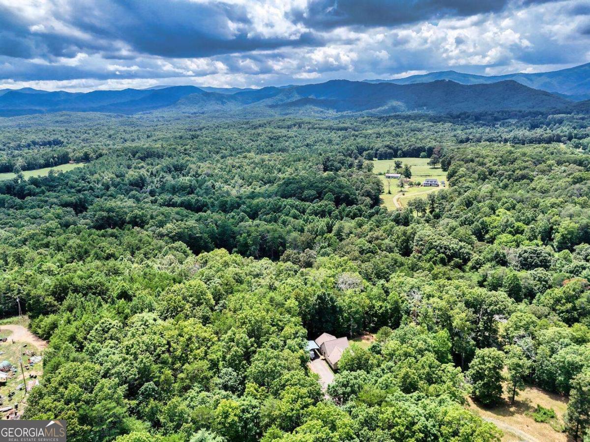 4165 Mobile Road, Unit 4 McCaysville, GA 30555 - Photo 48 of 52 a view of a city with lush green forest