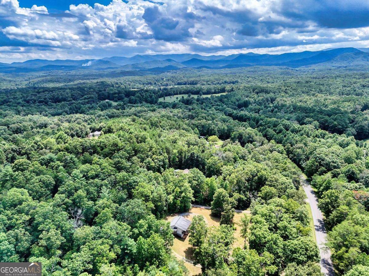 4165 Mobile Road, Unit 4 McCaysville, GA 30555 - Photo 49 of 52 a view of a city with lush green forest