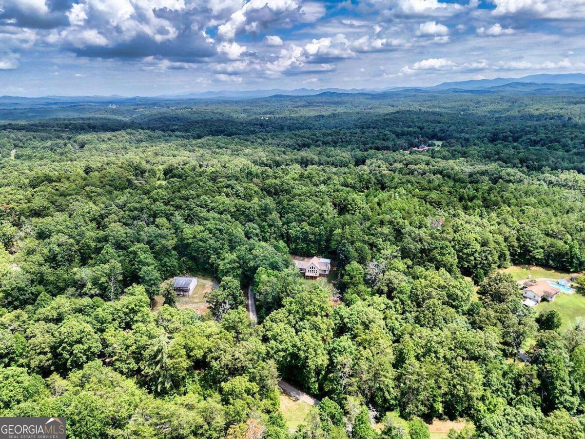 4165 Mobile Road, Unit 4 McCaysville, GA 30555 - Photo 50 of 52 a view of a field of grass and trees