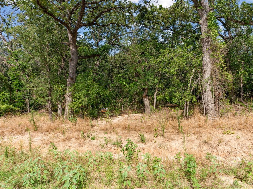 Lot 79 Kilkenney Road Poolville, TX 76487 - Photo 6 of 11