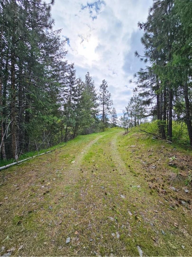 1237 C Goldedge Mine Road Kettle Falls, WA 99141 - Photo 13 of 20 Gallery Image 13
