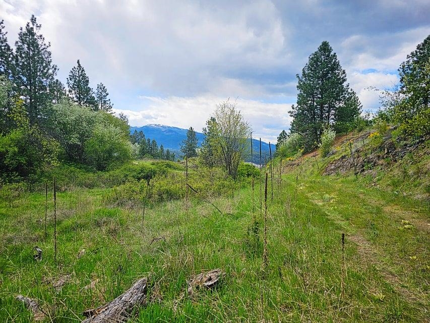 1237 C Goldedge Mine Road Kettle Falls, WA 99141 - Photo 17 of 20 Gallery Image 17