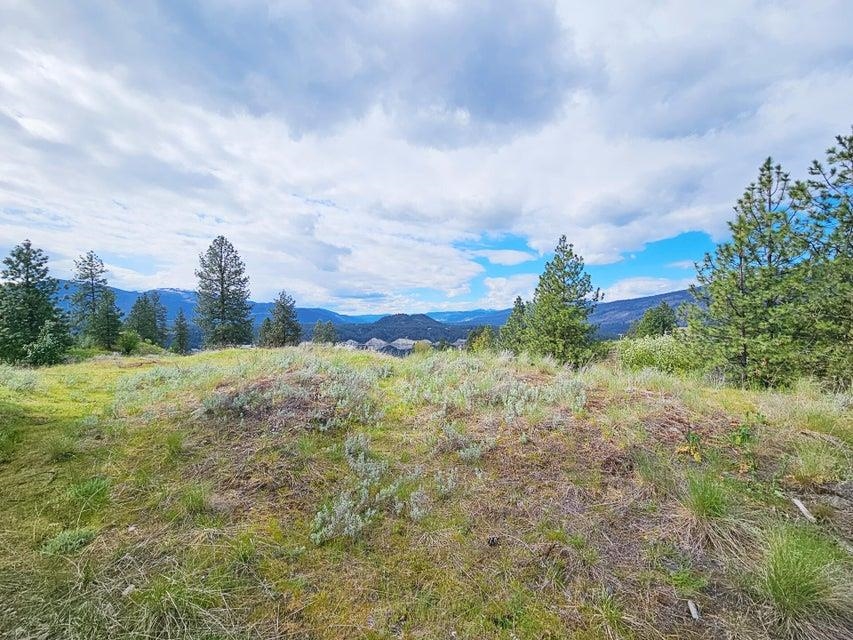 1237 C Goldedge Mine Road Kettle Falls, WA 99141 - Photo 19 of 20 Gallery Image 19