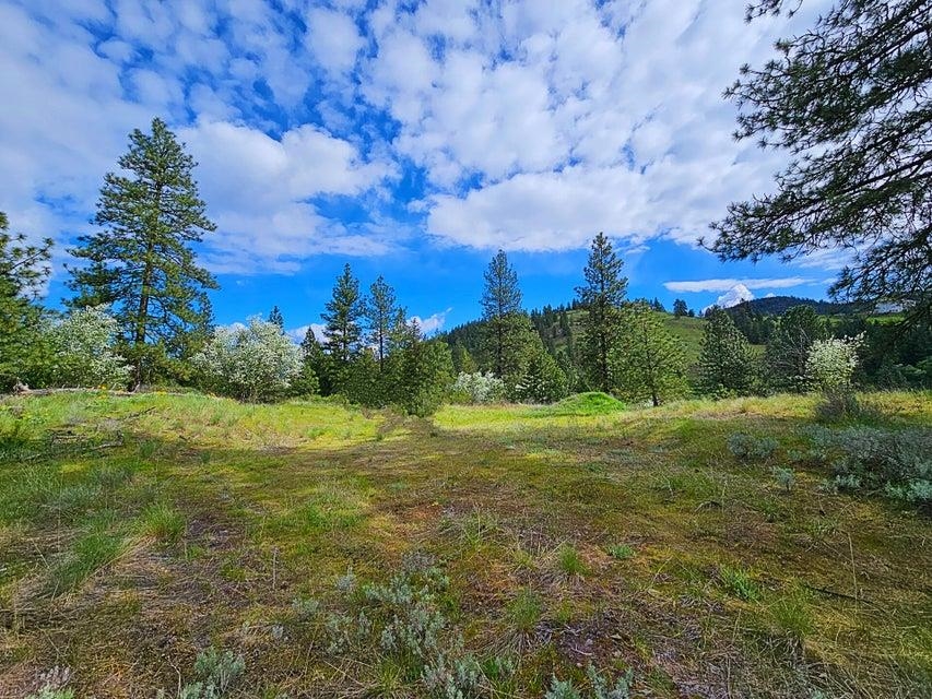 1237 C Goldedge Mine Road Kettle Falls, WA 99141 - Photo 5 of 20 Gallery Image 5