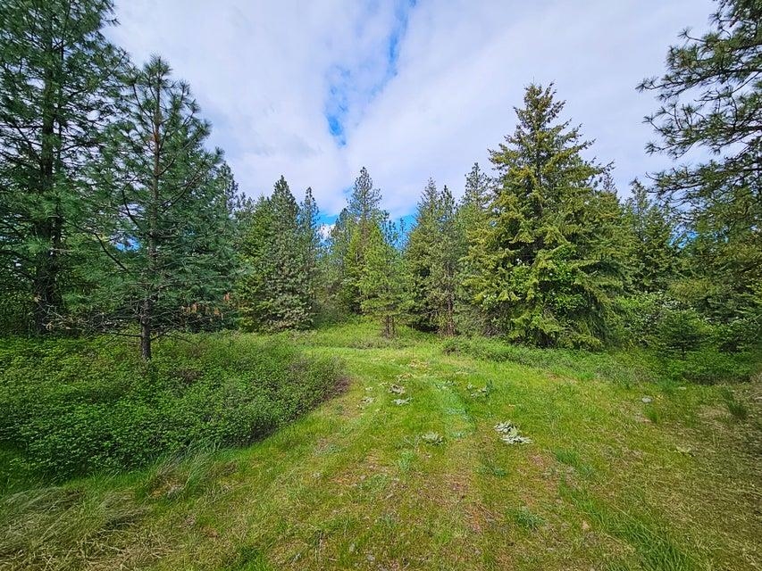 1237 C Goldedge Mine Road Kettle Falls, WA 99141 - Photo 7 of 20 Gallery Image 7