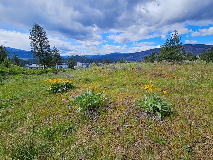 1237 C Goldedge Mine Road Kettle Falls, WA 99141 - Photo 9 of 20 Gallery Image 9