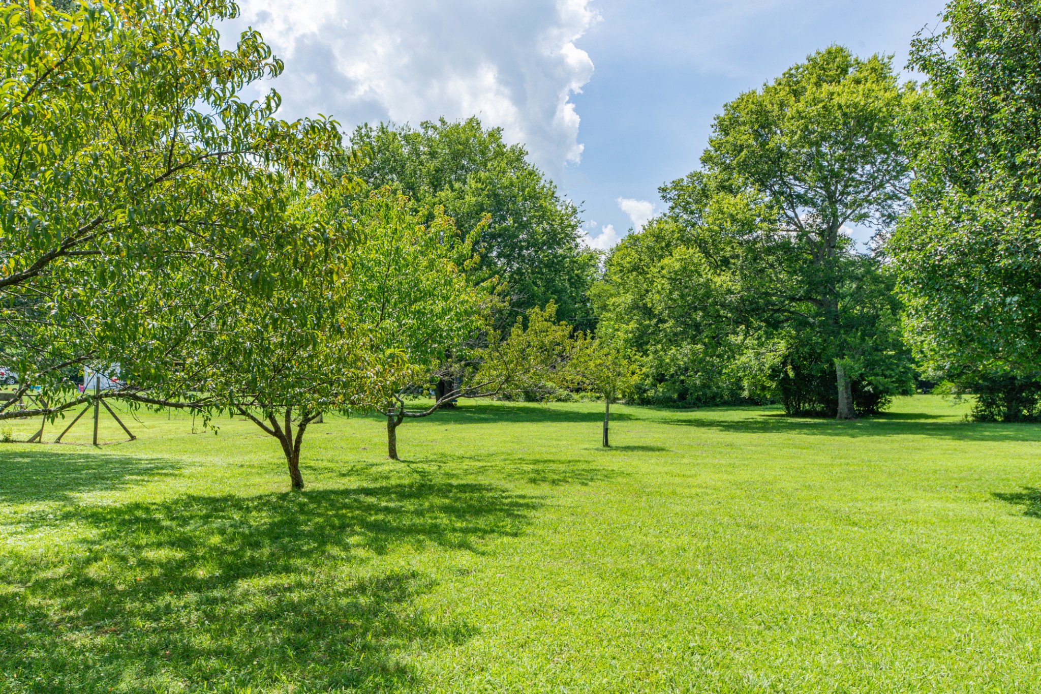 330 Holly Grove Road Lewisburg, TN 37091 - Photo 54 of 84