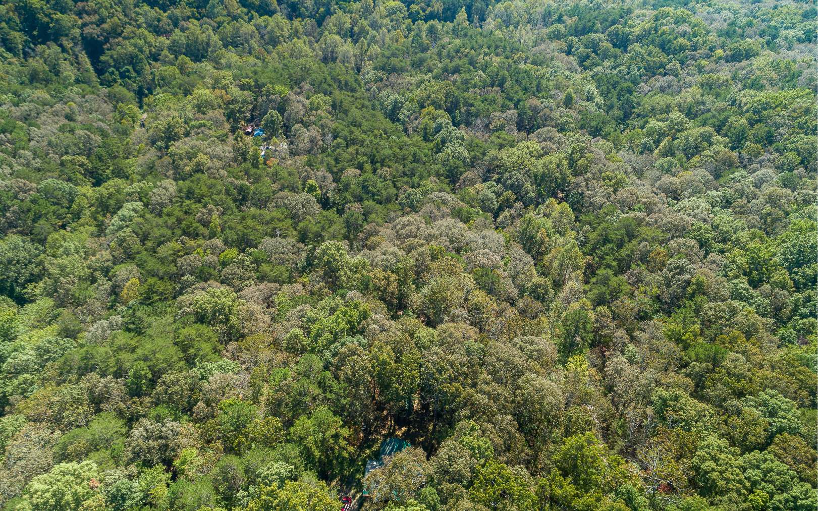 Additional View