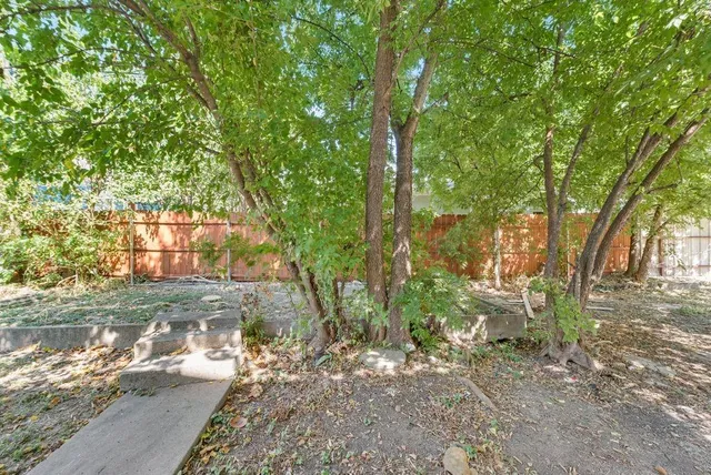 a view of a yard with plants and trees