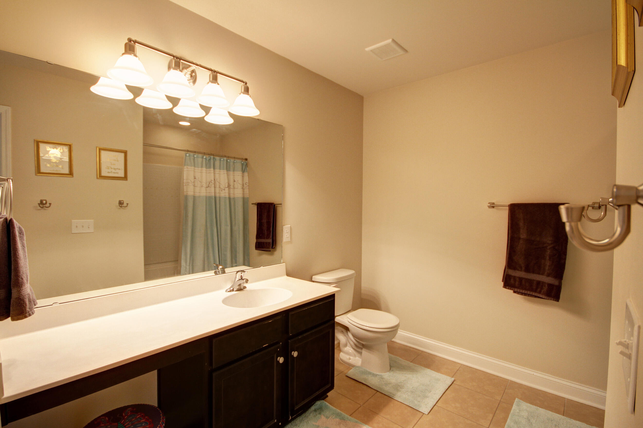 252 Decatur Drive Summerville, SC 29486 - Photo 29 of 40 252 Decatur Dr_109