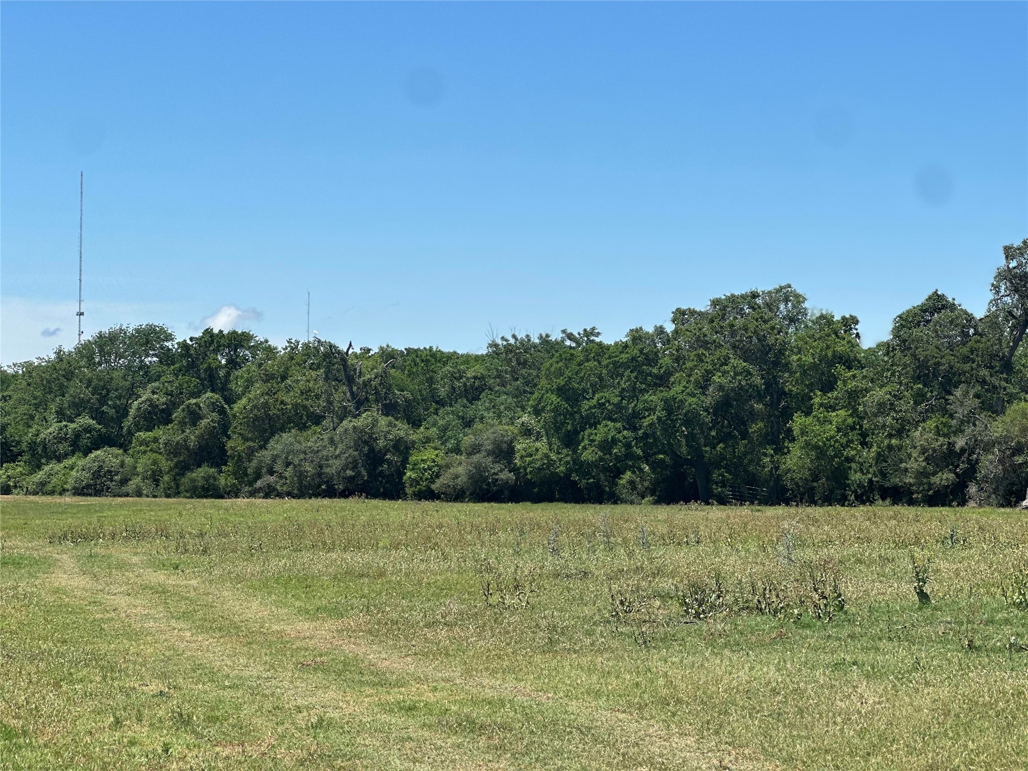 1200 Steamboat Run Bryan, TX 77807 - Photo 2 of 4 a view of a big yard