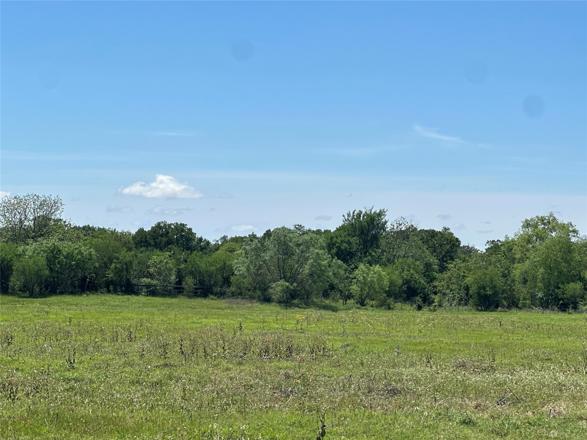 1200 Steamboat Run Bryan, TX 77807 - Photo 3 of 4 a view of a field with trees in background