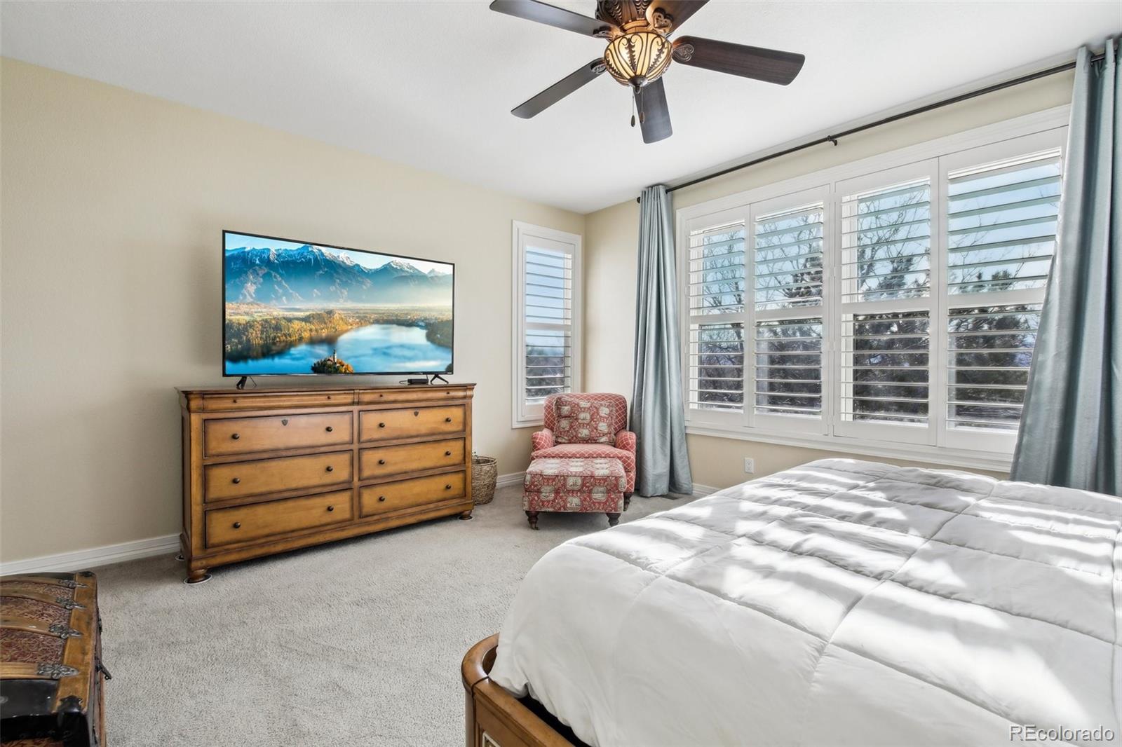 447 West Winterthur Way Highlands Ranch, CO 80129 - Photo 28 of 50 Gallery Image 28