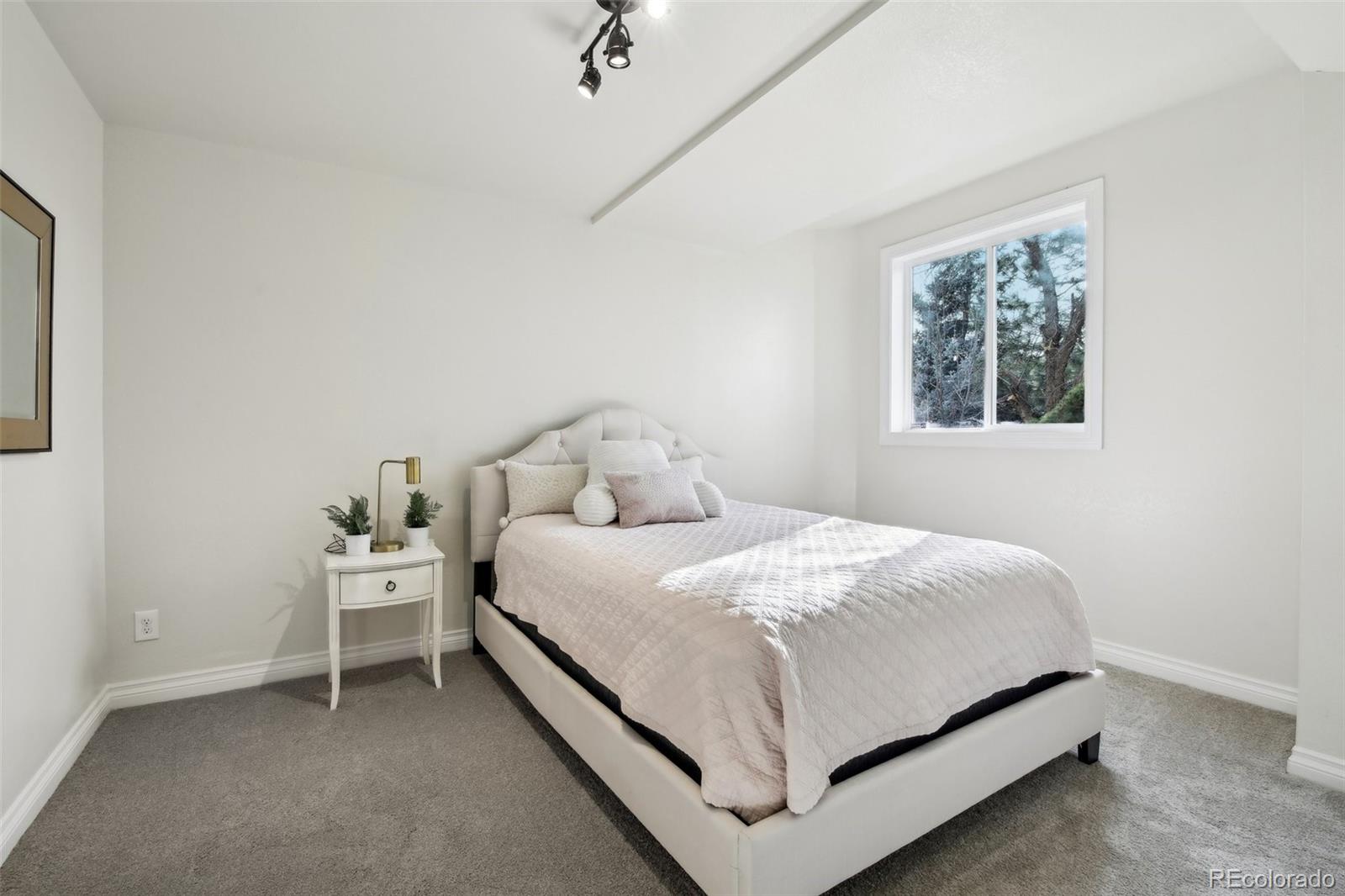447 West Winterthur Way Highlands Ranch, CO 80129 - Photo 38 of 50 Gallery Image 38