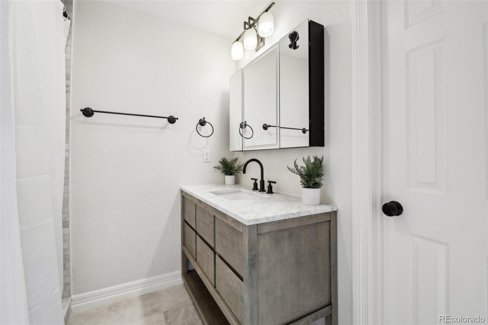 447 West Winterthur Way Highlands Ranch, CO 80129 - Photo 41 of 50 Gallery Image 41