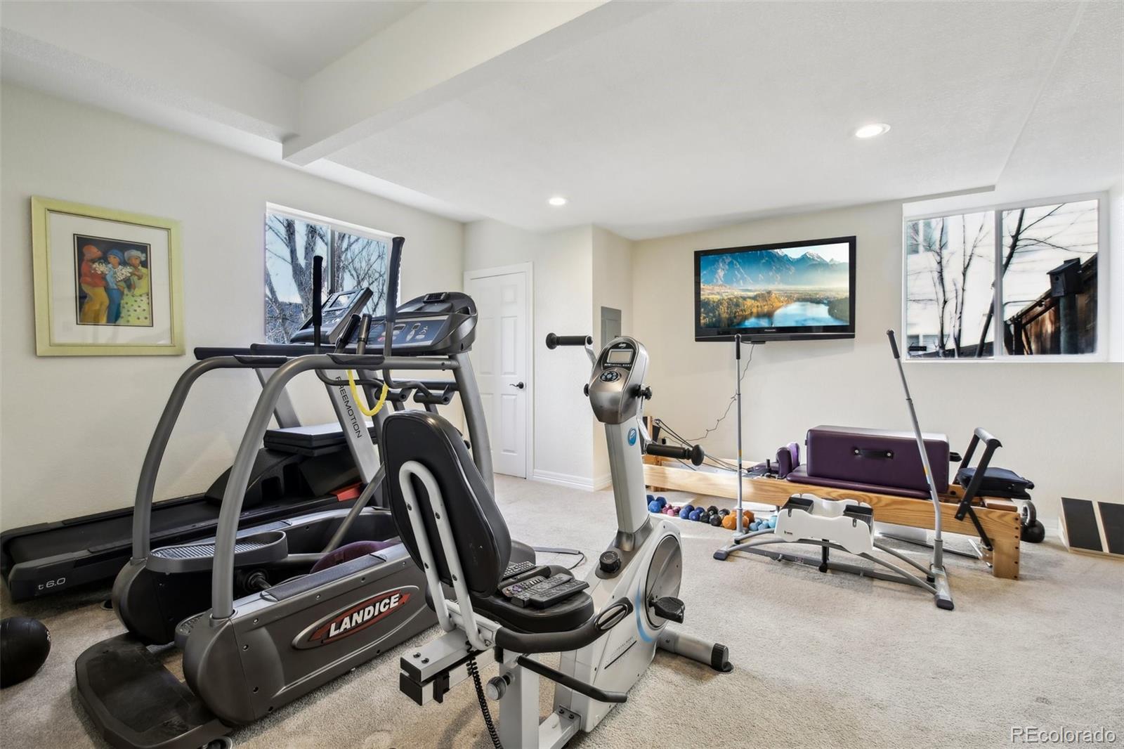 447 West Winterthur Way Highlands Ranch, CO 80129 - Photo 46 of 50 Gallery Image 46