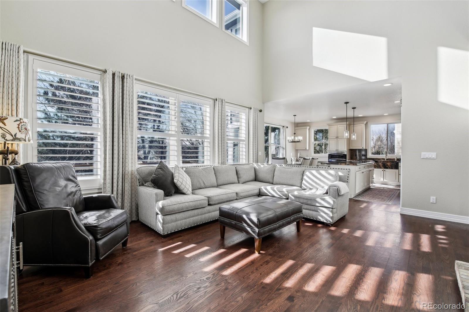 447 West Winterthur Way Highlands Ranch, CO 80129 - Photo 9 of 50 Gallery Image 9