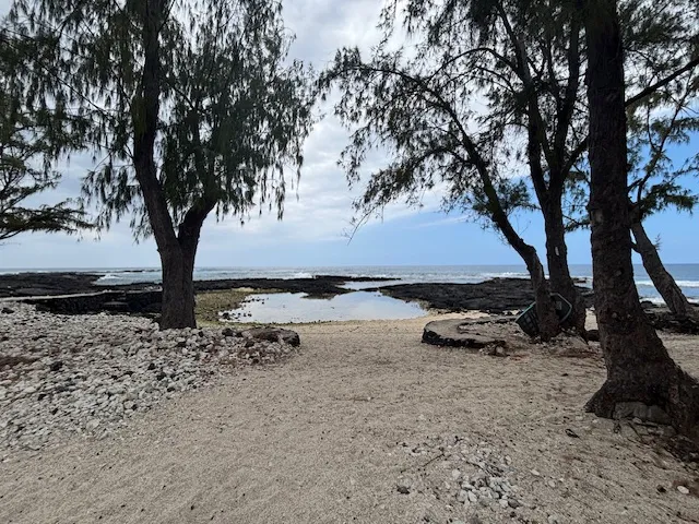 a view of a yard of the ocean