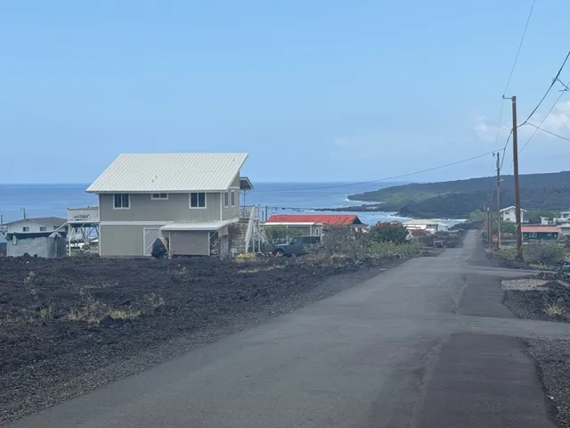 a view of yard with trees
