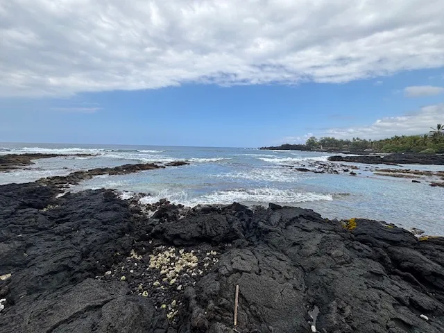 a view of swimming pool with lawn chairs under an umbrella